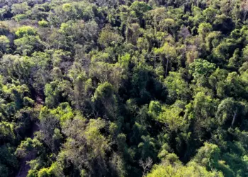 Governo do Paraná encaminha projeto que cria Programa de Regularização Ambiental