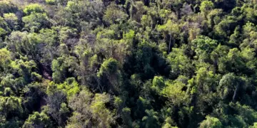 Governo do Paraná encaminha projeto que cria Programa de Regularização Ambiental