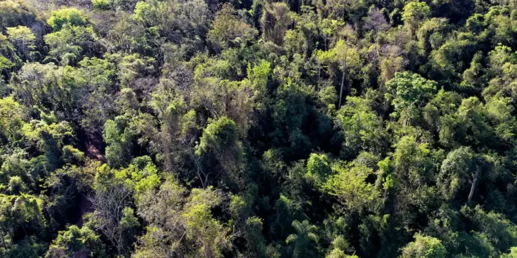 Foto: Denis Ferreira Netto/SEDEST.