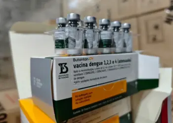 Paraná inicia distribuição da nova vacina nacional contra a dengue
