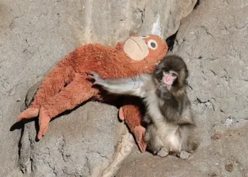 A família que a vida escolhe