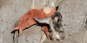 A família que a vida escolhe