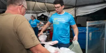 Santa Terezinha de Itaipu realiza a 28ª Feira do Peixe Vivo