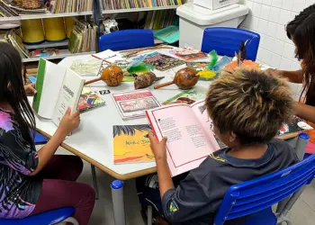 Paraná lidera ranking nacional de escolas com bibliotecas