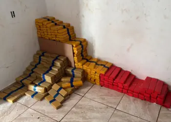 Polícia Civil apreende mais de 4 toneladas de maconha em Foz do Iguaçu