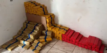 Polícia Civil apreende mais de 4 toneladas de maconha em Foz do Iguaçu