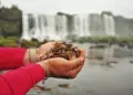 383 kg de moedas lançadas por visitantes são retirados das Cataratas do Iguaçu