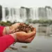 383 kg de moedas lançadas por visitantes são retirados das Cataratas do Iguaçu