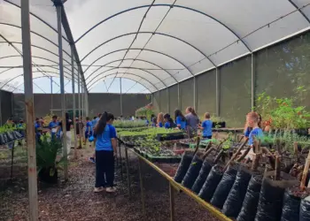 Escola Cândido Portinari participa de oficina ambiental e visita ao Horto Municipal