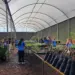 Escola Cândido Portinari participa de oficina ambiental e visita ao Horto Municipal