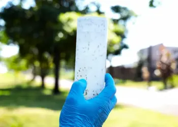 Câmara pede detalhes sobre aplicação do Método Wolbachia em Foz