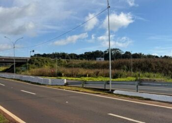 Equipes da Secretaria Municipal de Meio Ambiente fazem roçada às margens do acesso à Perimetral Leste