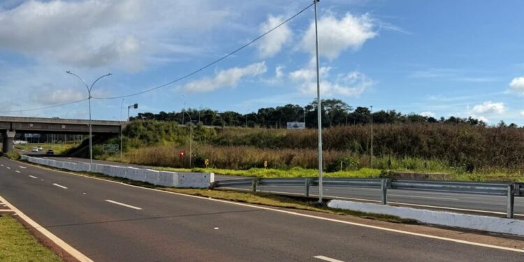 Foto: Reprodução.
