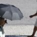 Saúde lança plano para enfrentar El Niño e mudanças climáticas