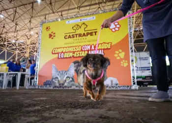 Programa CastraPet prevê seis mil castrações em junho e amplia ações em 37 cidades