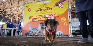 Programa CastraPet prevê seis mil castrações em junho e amplia ações em 37 cidades