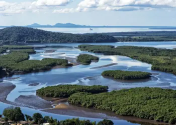 IAT leva inovação ambiental e adaptação climática para o FITCataratas 2026