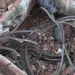 Guarda Municipal prende suspeito de furtar fios da iluminação pública na Avenida Brasil