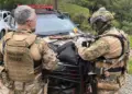 Operação mira caça ilegal e comércio de armas em três estados com 63 mandados