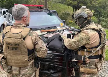 Operação mira caça ilegal e comércio de armas em três estados com 63 mandados