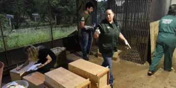 Novo canal do IAT registrou mais de 2,8 mil denúncias de crimes ambientais em 4 meses