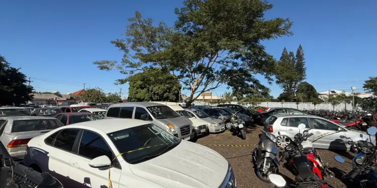 Leilão do Foztrans terá cerca de 420 veículos e sucatas com lances a partir de R$ 800