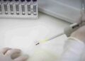 Exames descartam ebola em imigrante da República Democrática do Congo