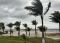 Defesa Civil alerta para ventos de até 80 km/h e risco elevado de vendavais no Oeste do Paraná