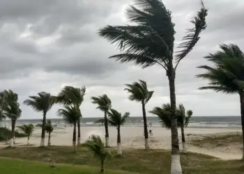 Defesa Civil alerta para ventos de até 80 km/h e risco elevado de vendavais no Oeste do Paraná