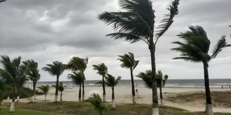 Defesa Civil alerta para ventos de até 80 km/h e risco elevado de vendavais no Oeste do Paraná