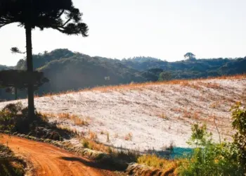 Frente fria reforça queda nas temperaturas e amplia risco de geada no Paraná