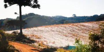 Frente fria reforça queda nas temperaturas e amplia risco de geada no Paraná