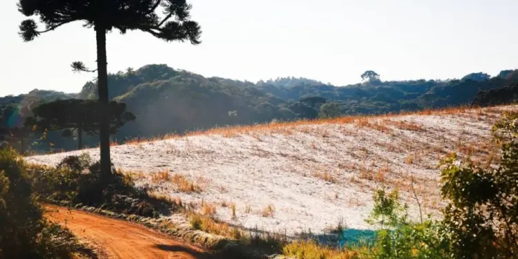 Foto: Arquivo/Átila Alberti/Tribuna do Paraná.