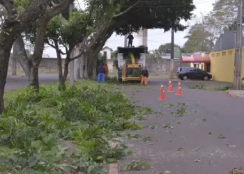 Equipes retiram cerca de 400 toneladas de lixo durante mutirão na região de Três Lagoas