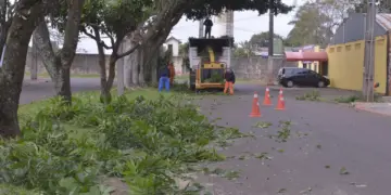 Equipes retiram cerca de 400 toneladas de lixo durante mutirão na região de Três Lagoas