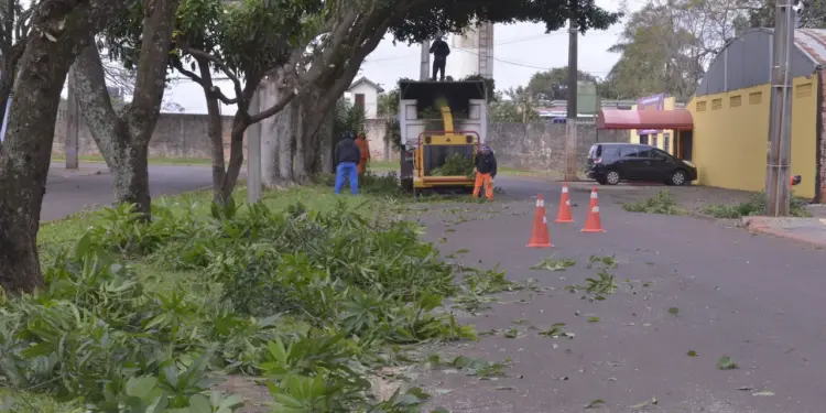 Foto: Reprodução.