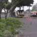Equipes retiram cerca de 400 toneladas de lixo durante mutirão na região de Três Lagoas