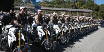 Forças de segurança do Paraná recebem mais de 8 mil novos servidores de 2019 a 2026