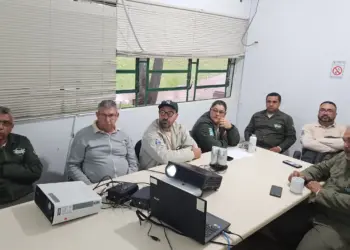 Nova etapa do Método Wolbachia beneficiará mais de 140 mil moradores de Foz do Iguaçu