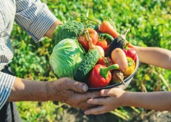Inscrições para agricultores familiares no Programa de Aquisição de Alimentos seguem até 27 de julho