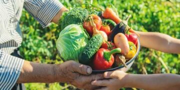Inscrições para agricultores familiares no Programa de Aquisição de Alimentos seguem até 27 de julho