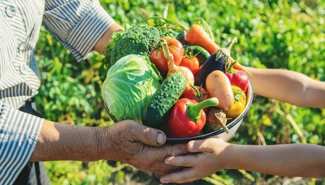Inscrições para agricultores familiares no Programa de Aquisição de Alimentos seguem até 27 de julho