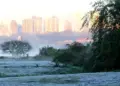 Paraná terá início de semana com frio e geadas antes da volta do calor de até 30°C