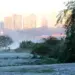 Paraná terá início de semana com frio e geadas antes da volta do calor de até 30°C