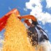 IBC-Br recuou 0,6% em junho, diz Banco Central