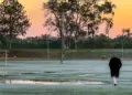 Massa de ar frio derruba temperaturas e Paraná registra mínima próxima de 0°C
