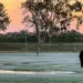 Massa de ar frio derruba temperaturas e Paraná registra mínima próxima de 0°C