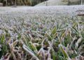 Paraná registra temperatura de -2,8°C e pode ter nova onda de frio no início de setembro