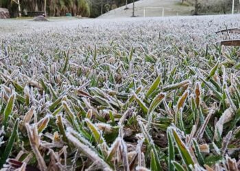 Paraná registra temperatura de -2,8°C e pode ter nova onda de frio no início de setembro