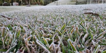 Paraná registra temperatura de -2,8°C e pode ter nova onda de frio no início de setembro